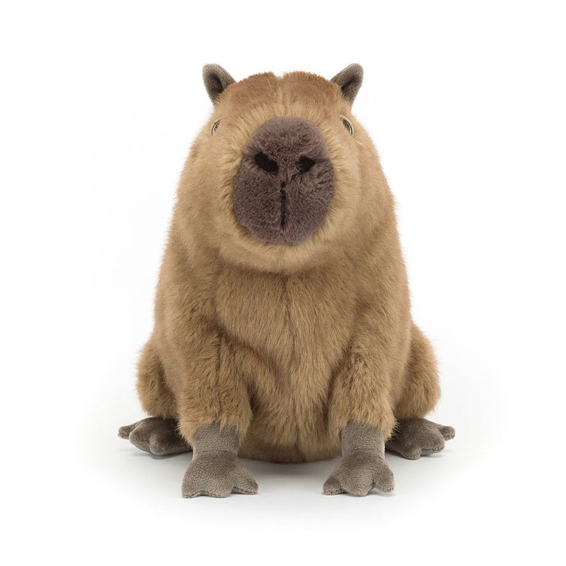 peluche capybara cly6c
