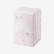 Blind Box SKULLPANDA The Warmth Series
